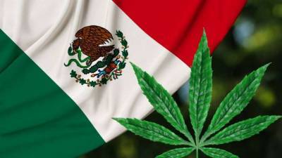 Третья страна в мире полностью легализовала марихуану – для любых целей