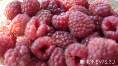 Ученые назвали ягоду, защищающую от рака и диабета
