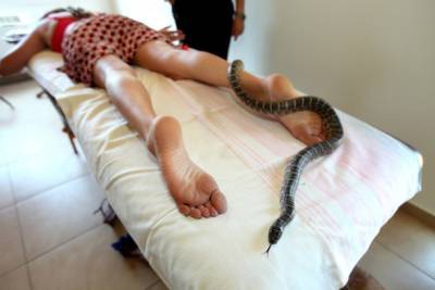 Нетания: укушенный змеей водитель не доехал до больницы
