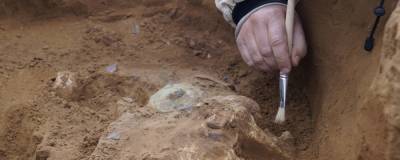 В Хорватии нашли свидетельства одного из самых древних массовых убийств