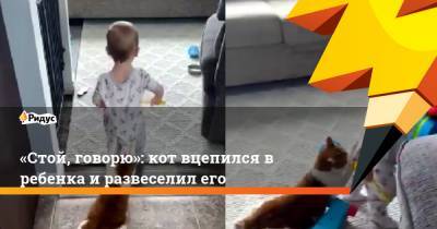 «Стой, говорю»: кот вцепился в ребенка и развеселил его