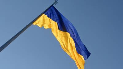 "Оппозиционную платформу — За жизнь" и "Партию Шария" могут запретить на Украине
