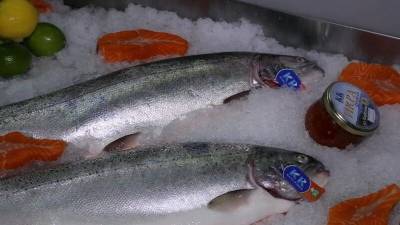 Крупнейший в АТР аукцион по продаже морепродуктов заработает в Приморье