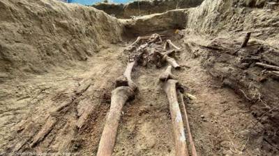 В Польше обнаружили скелеты монахинь, убитых красноармейцами зимой 1945-го