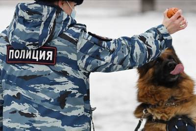 В Петербурге обучат служебных собак находить расчлененные тела