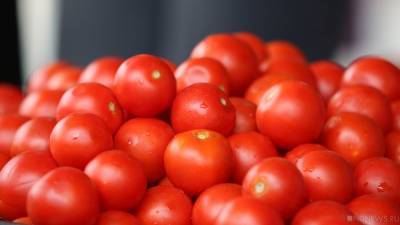 На Южном Урале рабочие вывезли с предприятия семь тонн огурцов и помидоров