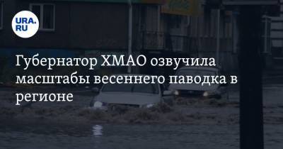 Губернатор ХМАО озвучила масштабы весеннего паводка в регионе