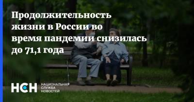 Продолжительность жизни в России во время пандемии снизилась до 71,1 года