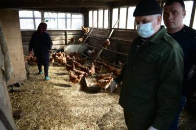 Попова не исключила передачу вируса птичьего гриппа от человека к человеку