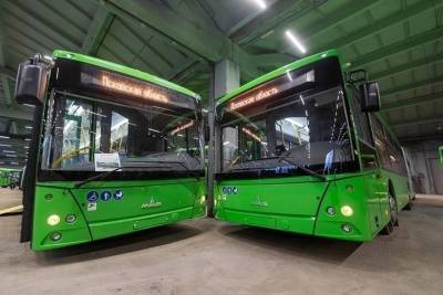 Новые автобусы большого класса появились в Великих Луках