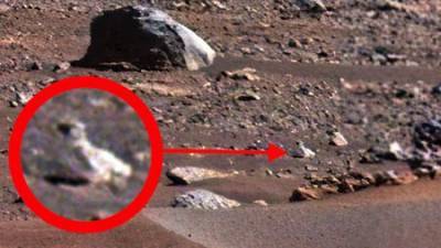 Уфолог разглядел на снимках NASA с Марса живые объекты
