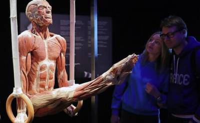В Москве на ВДНХ сегодня откроется нашумевшая анатомическая выставка доктора Гюнтера фон Хагенса