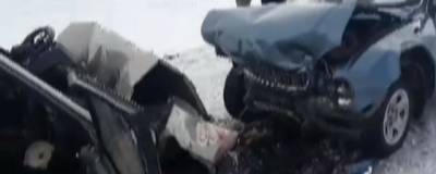 В Челябинской области во время метели в ДТП погибли два человека