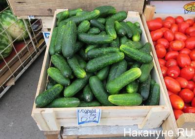 В Челябинской области работники предприятия украли 7 тонн огурцов и помидоров
