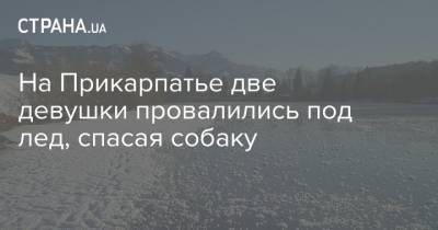 На Прикарпатье две девушки провалились под лед, спасая собаку