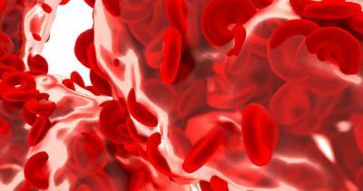 Медики объяснили, как просто повысить уровень гемоглобина в крови