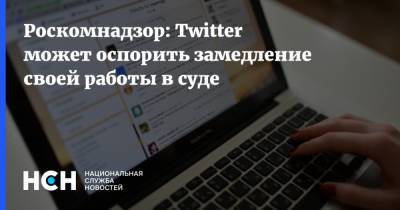 Роскомнадзор: Twitter может оспорить замедление своей работы в суде