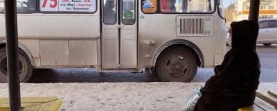 В Кургане вернули льготы на проезд в автобусах