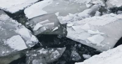 На Прикарпатье две девушки спасали собаку и провалились под лед