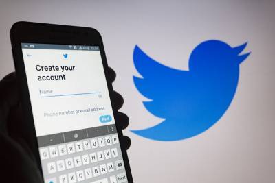 "Достаточно мягкие меры": в ОП оценили замедление работы Twitter в России