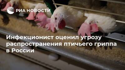 Инфекционист оценил угрозу распространения птичьего гриппа в России