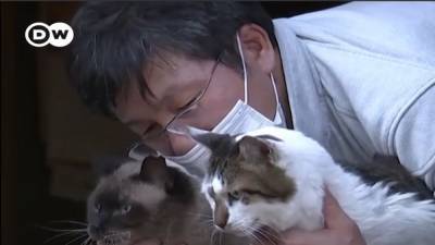 Самый одинокий человек в мире: японец живет в Фукусиме, чтобы заботиться о брошенных кошках