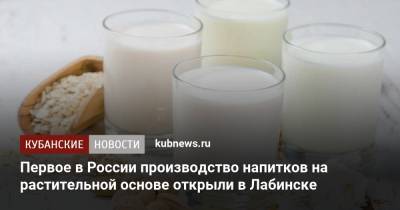 Первое в России производство напитков на растительной основе открыли в Лабинске