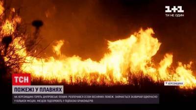 На Херсонщине загорелись знаменитые днепровские плавни (ВИДЕО)