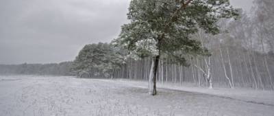 В Забайкалье на 14 и 15 марта объявили штормовое предупреждение