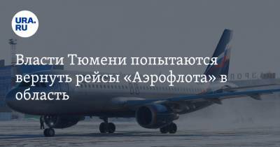 Власти Тюмени попытаются вернуть рейсы «Аэрофлота» в область