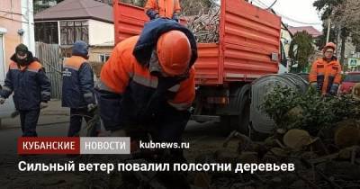 Сильный ветер повалил полсотни деревьев - kubnews.ru - Краснодарский край - Туапсе