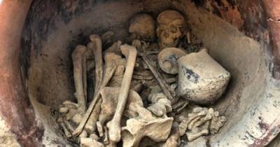 Царица из бронзового века. В Испании найдена могила древней правительницы и ее сокровища (фото)