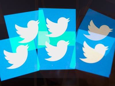 Птичку не жалко: Мизулина размечталась о полной блокировке Twitter в России