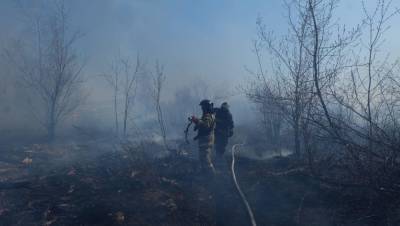 В середине апреля в Курганской области прогнозируют начало природных пожаров
