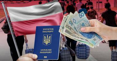 Постоянный вид на жительство в Польше есть уже у четверти миллиона украинцев