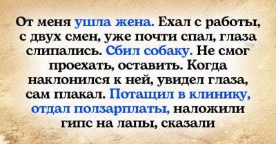 Почему стоит завести собаку, если жена предала и ушла