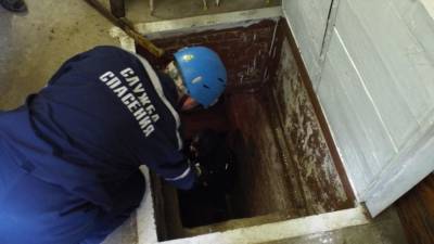 Труп 13-летней девочки обнаружили в затопленном подвале под Волгоградом
