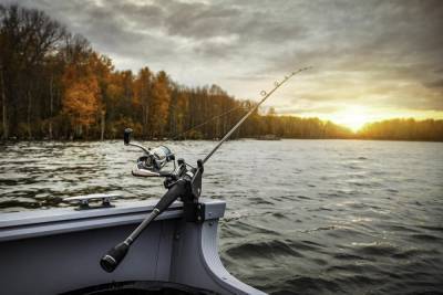 Из-за начала нереста рыбную ловлю во Владимирской области ограничат
