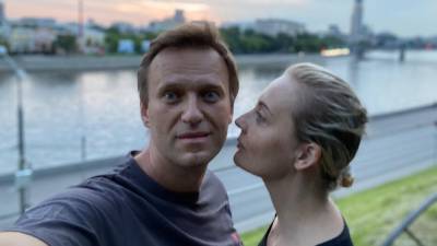 Милов рассказал об отсутствии плана у команды Навального
