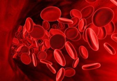 Медики назвали простой способ повысить уровень гемоглобина в крови