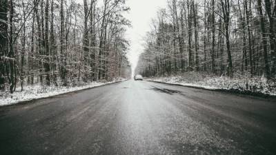 Снегопады и поваленные деревья: Украину охватила непогода – видео