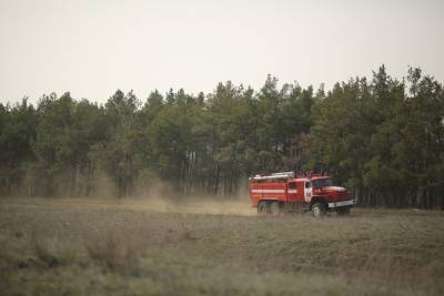 Рослесхоз поручил вовремя открыть пожароопасный сезон в Астраханской области