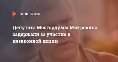 Депутата Мосгордумы Митрохина задержали за участие в незаконной акции