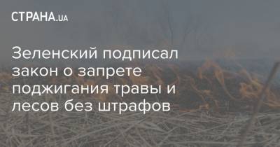 Зеленский подписал закон о запрете поджигания травы и лесов без штрафов