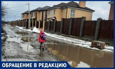 Жители поселка в Ростовской области попросили власти найти нового хозяина для разбитой дороги