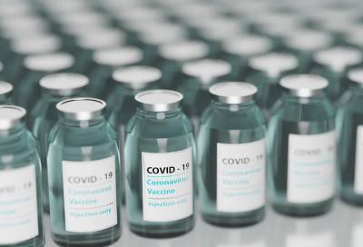 Формирование коллективного иммунитета к COVID-19 в Петербурге ожидается в августе