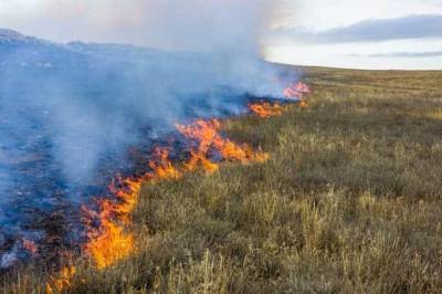 В Украине запретили выжигать траву, но штрафовать не будут