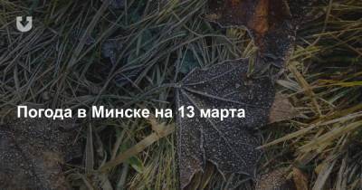 Погода в Минске на 13 марта