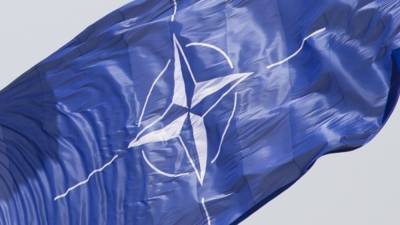 Politico сообщило о крупном споре внутри НАТО после статьи о России