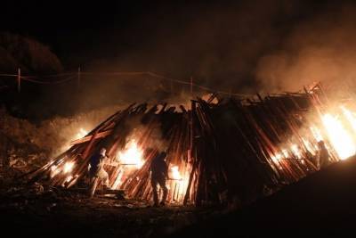 В Чите сожгли более тысячи свиней, изъятых из-за вспышки африканской чумы